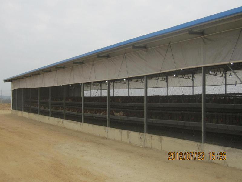 Galpones para pollos - ALQUIMODUL SAC – Construcción modular, módulos  prefabricados y contenedores